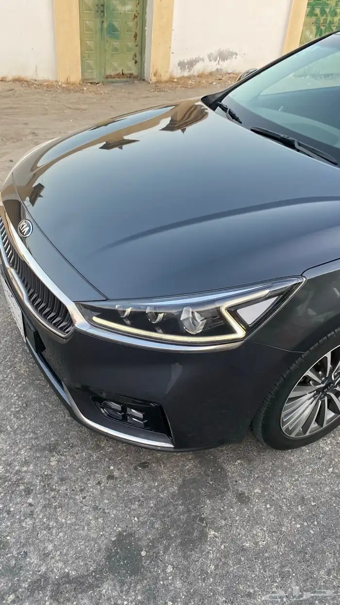 كادينزا 2017 19