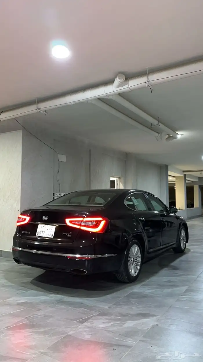 كادينزا 2016 0