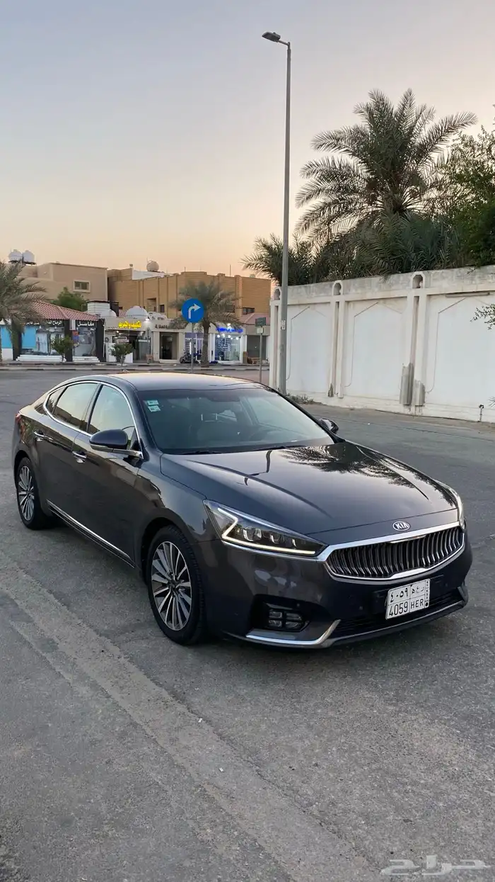 كادينزا 2017 0