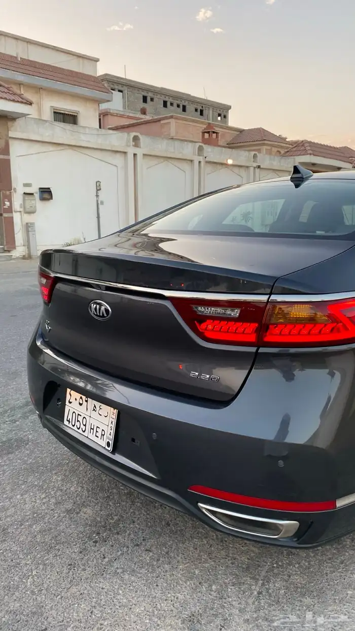 كادينزا 2017 11