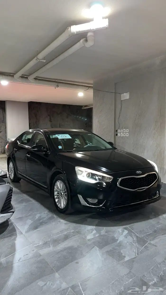 كادينزا 2016 1