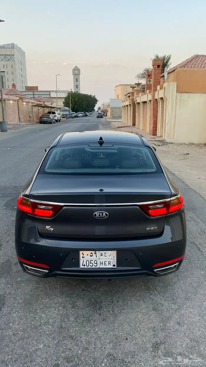 كادينزا 2017 12