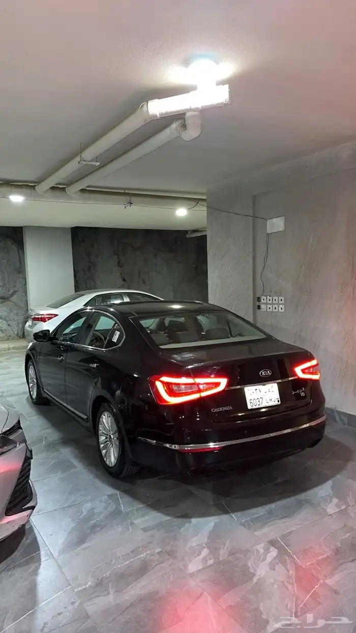 كادينزا 2016 3