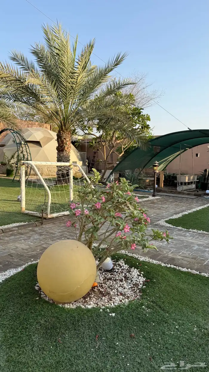 استراحه فالحرزاتتت من وحي الطبيعيه عرض 600 وسظ اسبوع 24