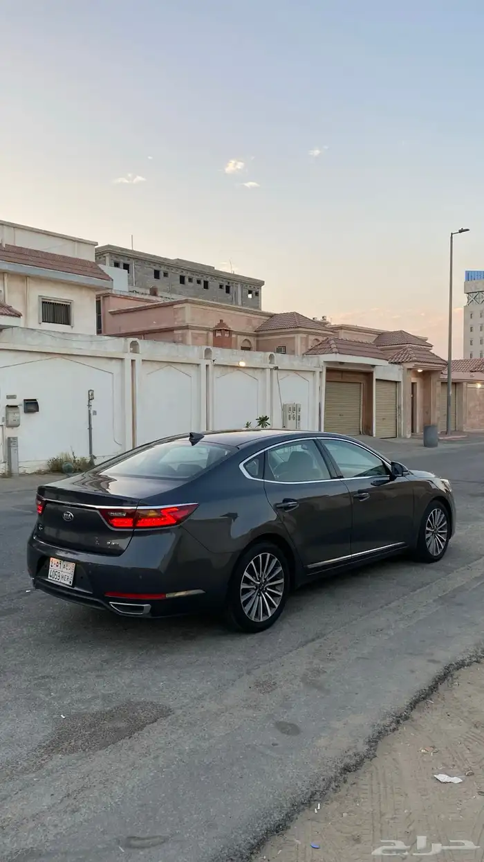 كادينزا 2017 8