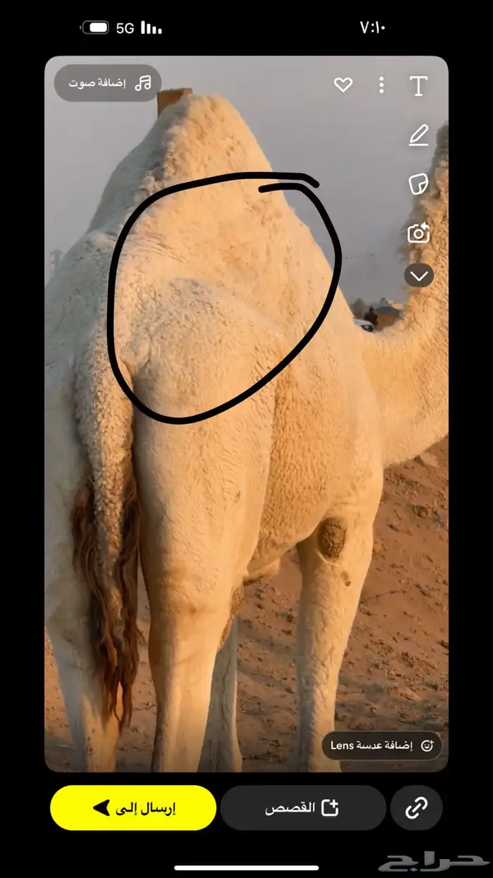 ضروبه كفو رمانيه 2