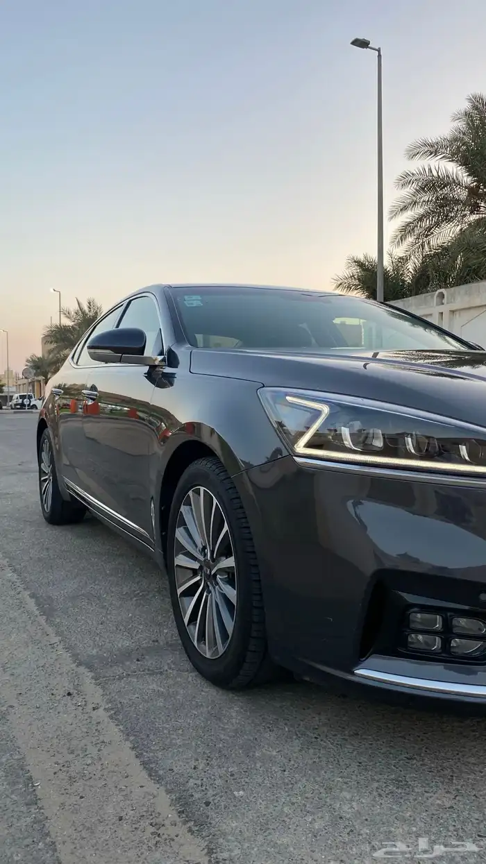 كادينزا 2017 1