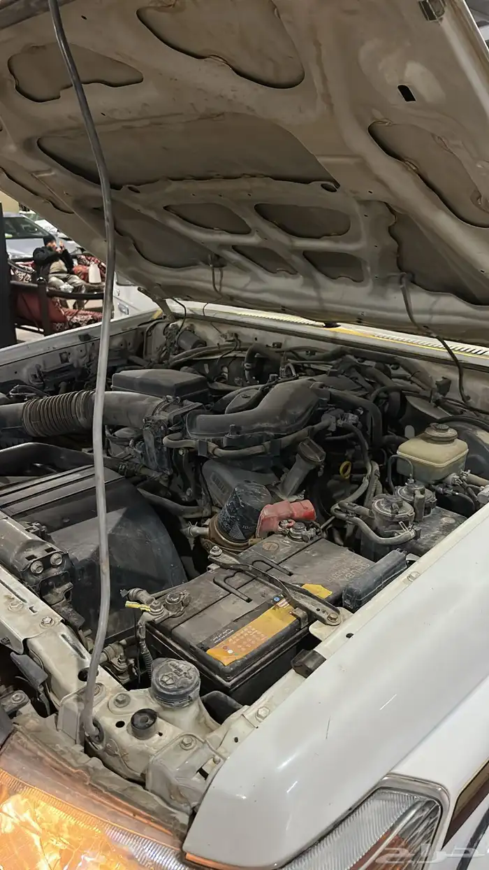 شاص 2015 فطيمي 7