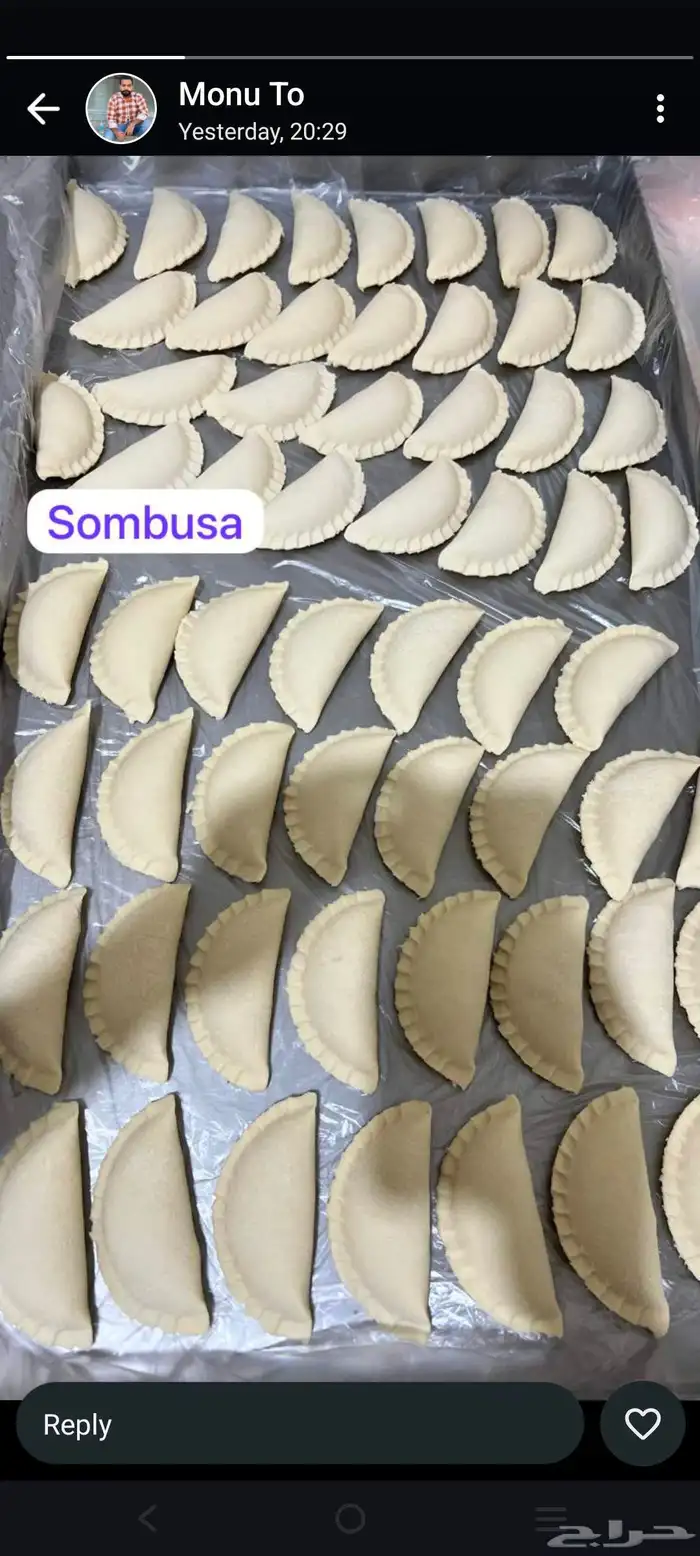 معلم خليه نحل 4