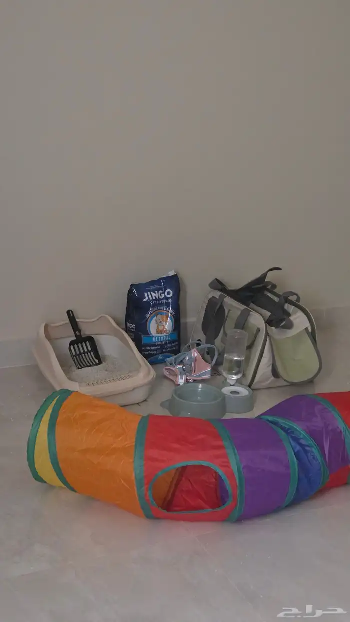 قط لتبني عمر 3 شهور جدا لعوب وحنون 3