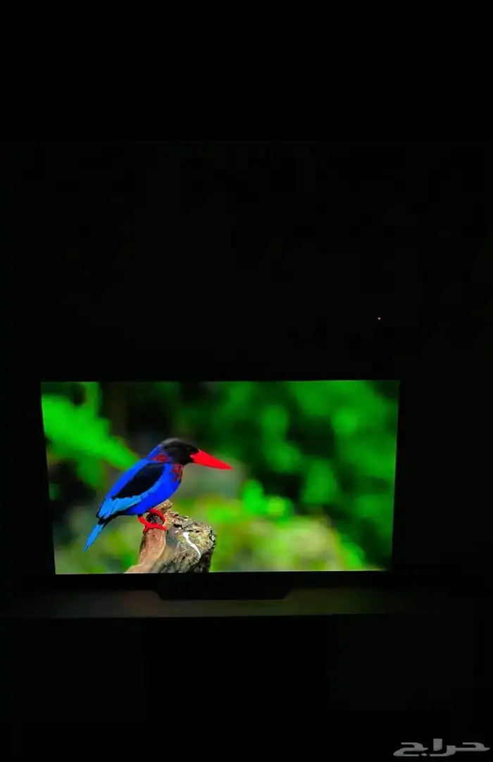 LG -OLED شاشه كوريه 10