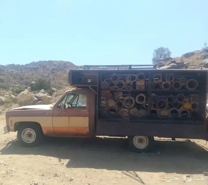 جمس نحل قصير صالون مفصل بدون اوراق 1