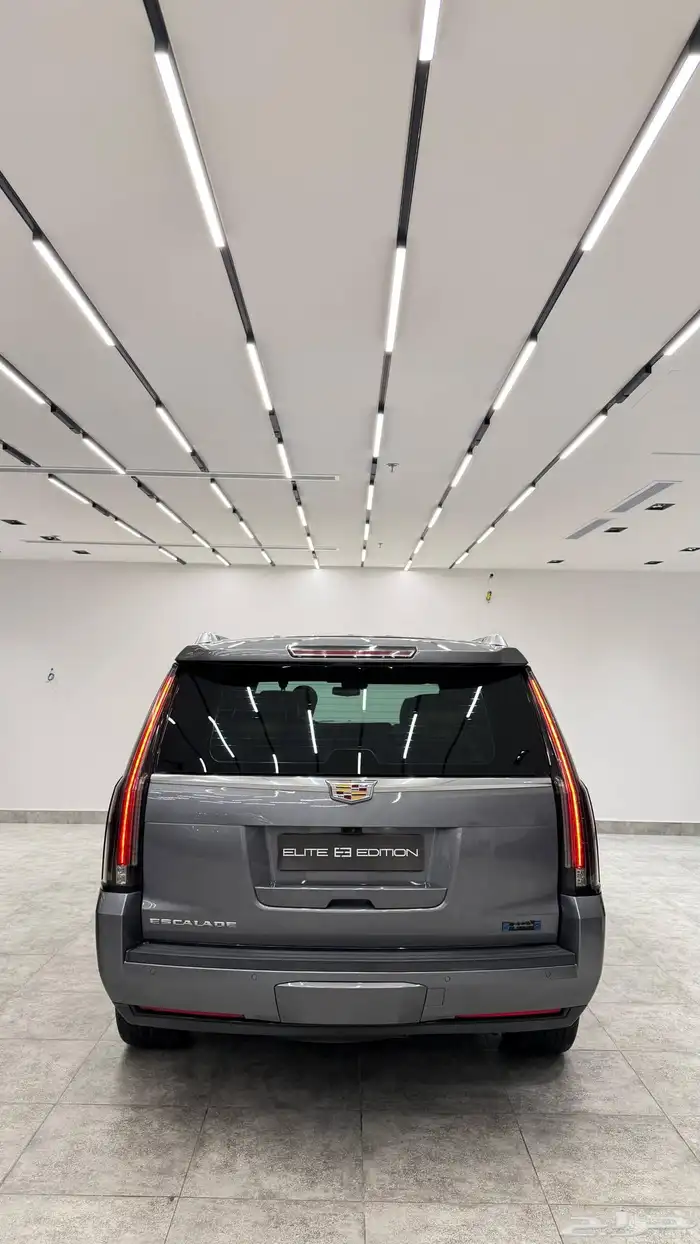 Cadillac Escalade Platinum 2020 5