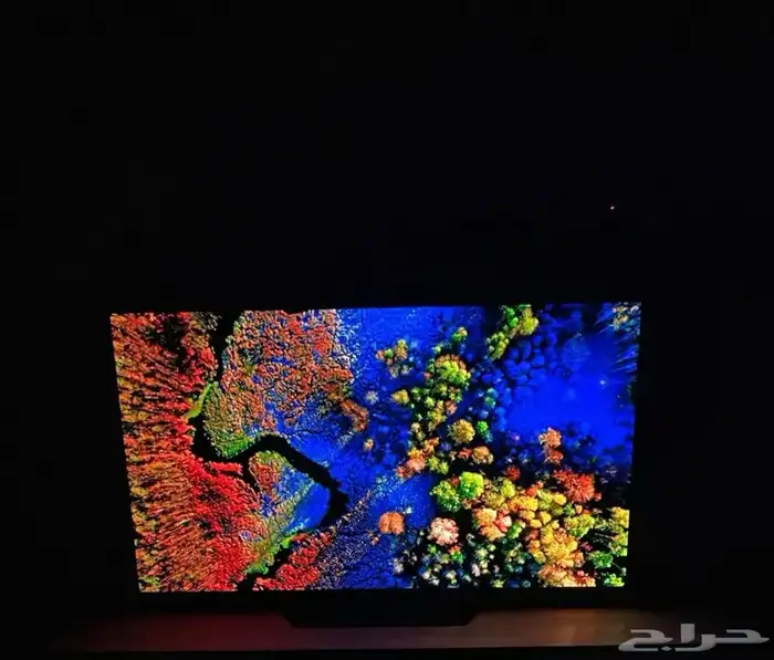 LG -OLED شاشه كوريه 12