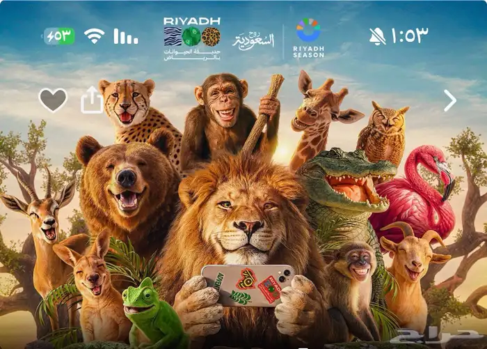 حديقة الحيوان 0