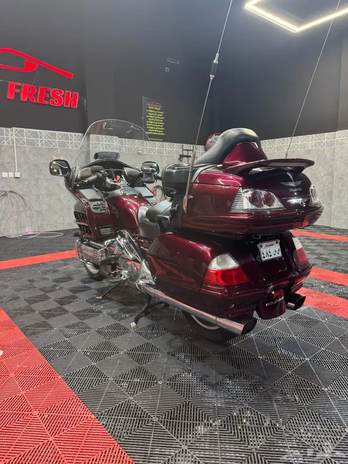 قولد وينق 2006 4