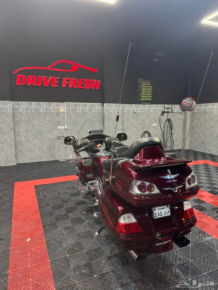 قولد وينق 2006 8