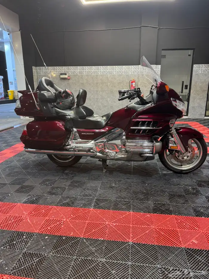 قولد وينق 2006 2