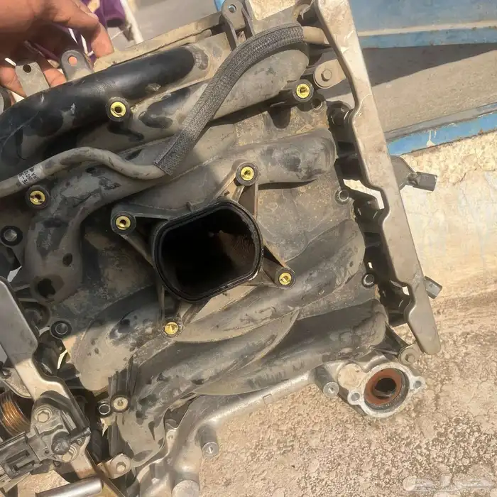 فورد كراون فكتوريا وماركيز 0