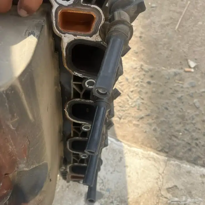 فورد كراون فكتوريا وماركيز 3