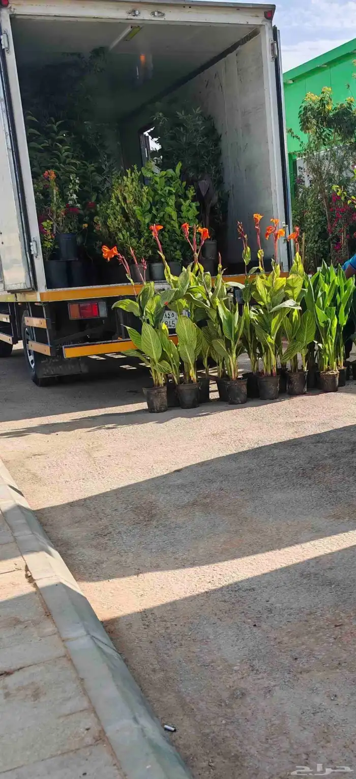 الزراعة الثيل الطبيعي وتركيب شبكات الري العادي والاتوماتيك 5