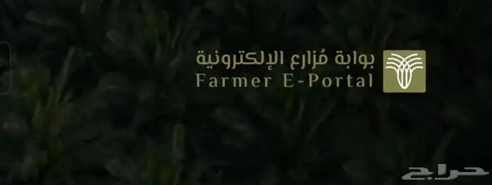 تصفية المحافظ الزراعية دعم النخيل 0