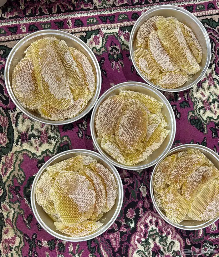 عسل شمع سدر مضمون 0