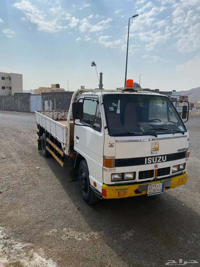 دينا اسوزو 5