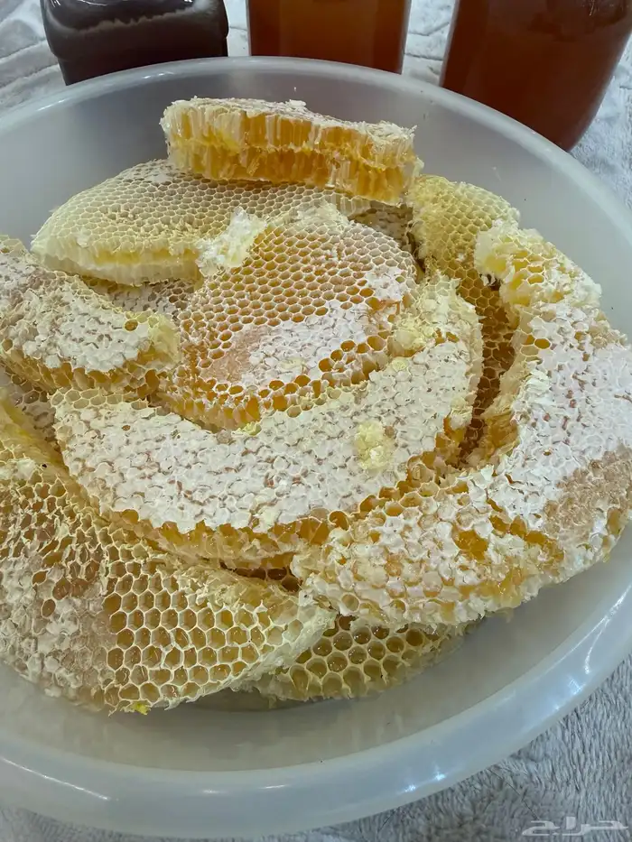 سدره اصلي من 300 1