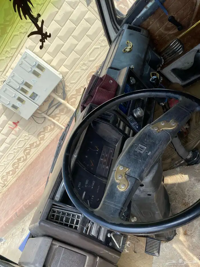 دينا اسوزو 6