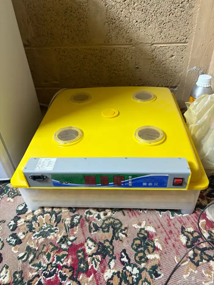 للبيع فقاسه 0