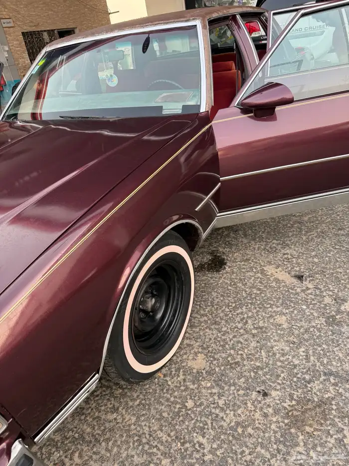 كابرس 89 عنابي 5