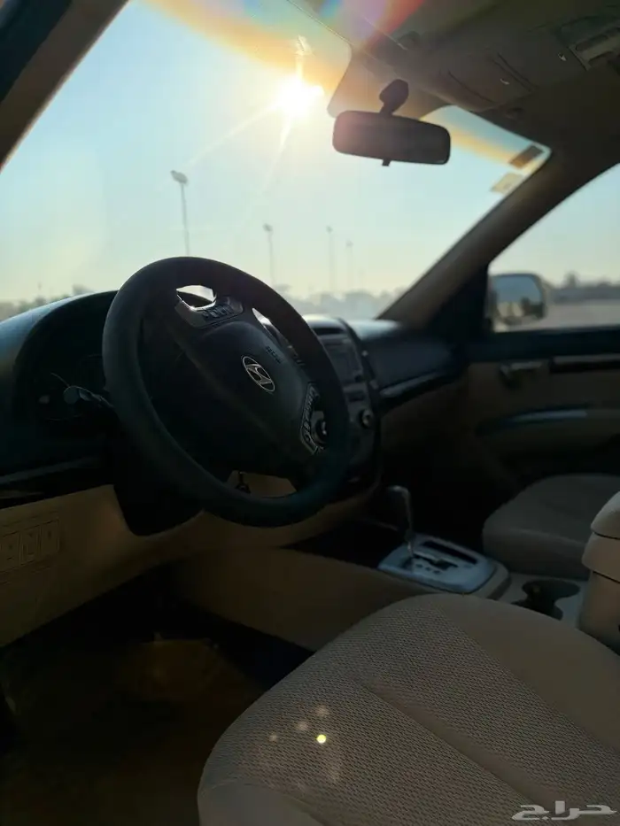 سنتافي 2012 10