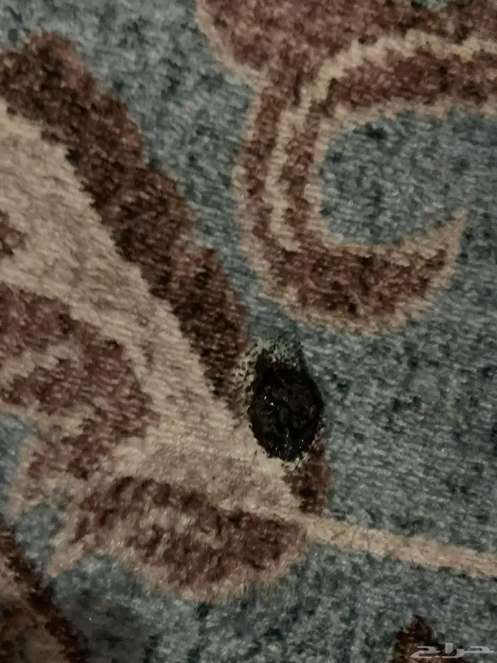 فرشة كبير للبيع بسعر لطيف 3