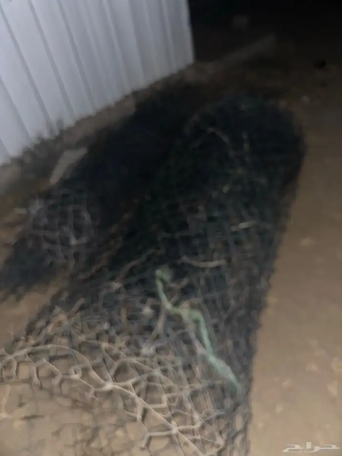 شبوك غنم ومواسير حديد الاصليه كلها القديمه مستخدمه للبيع 4