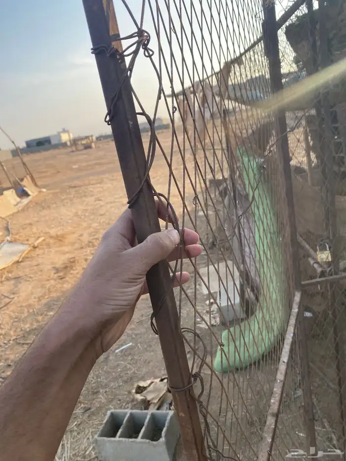 شبك وفك وتركيب 4