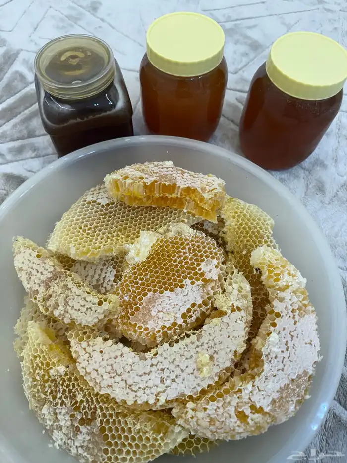 سدره اصلي من 300 0