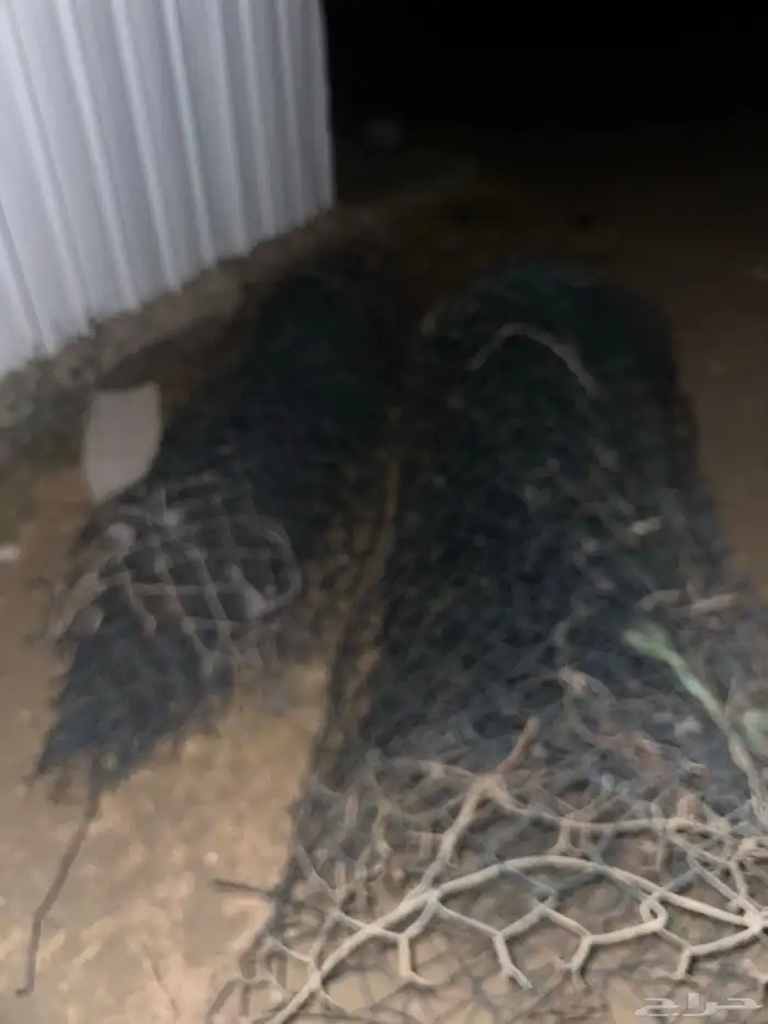 شبوك غنم ومواسير حديد الاصليه كلها القديمه مستخدمه للبيع 7