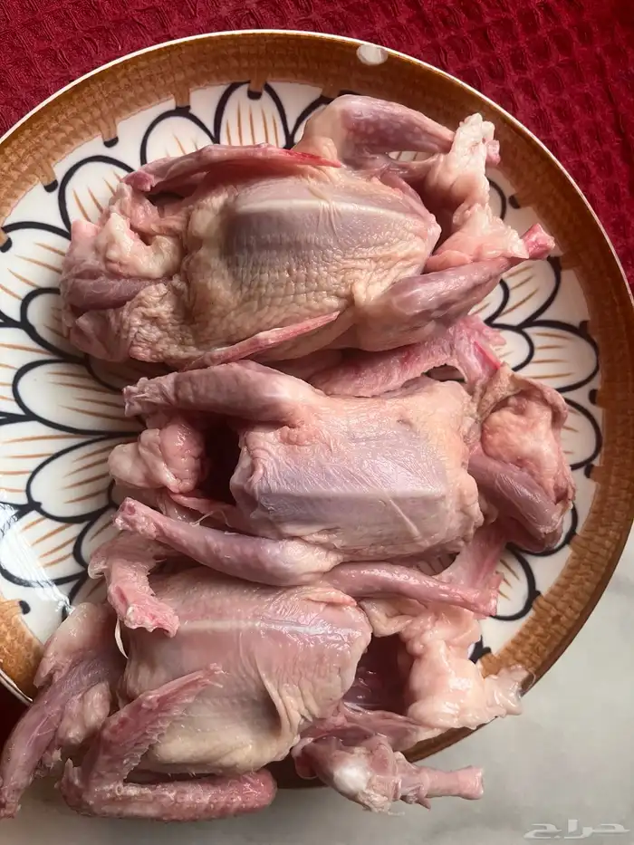 زغاليل فرنسي 2