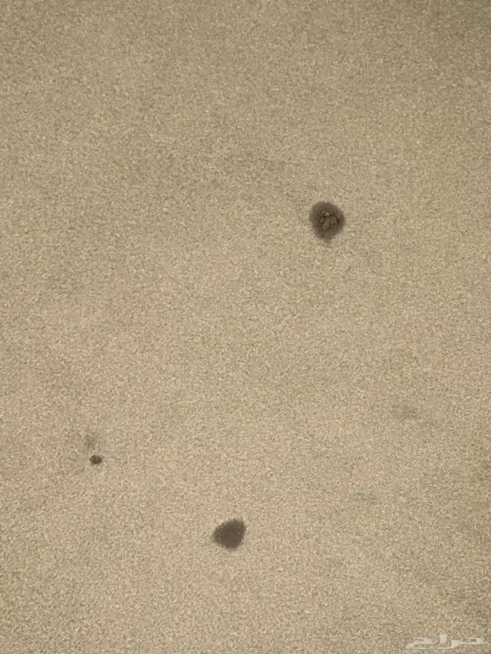 كنب مودرن 11 شخص 1