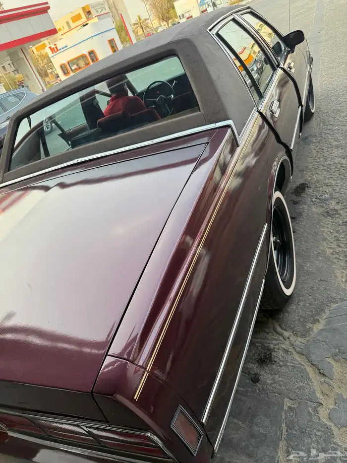 كابرس 89 عنابي 7