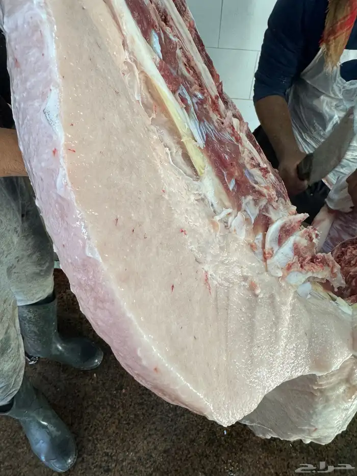 حاشي لباني مشروط عمره (6) شهور والطعم تحدي 1