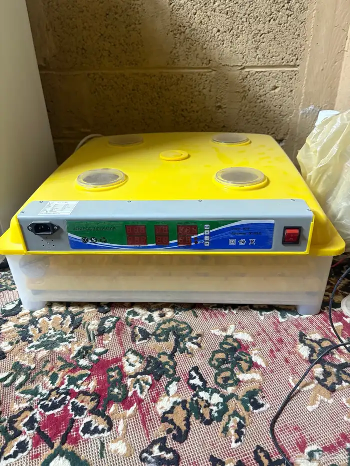 للبيع فقاسه 1