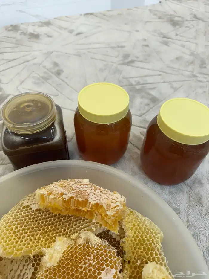 سدره اصلي من 300 2