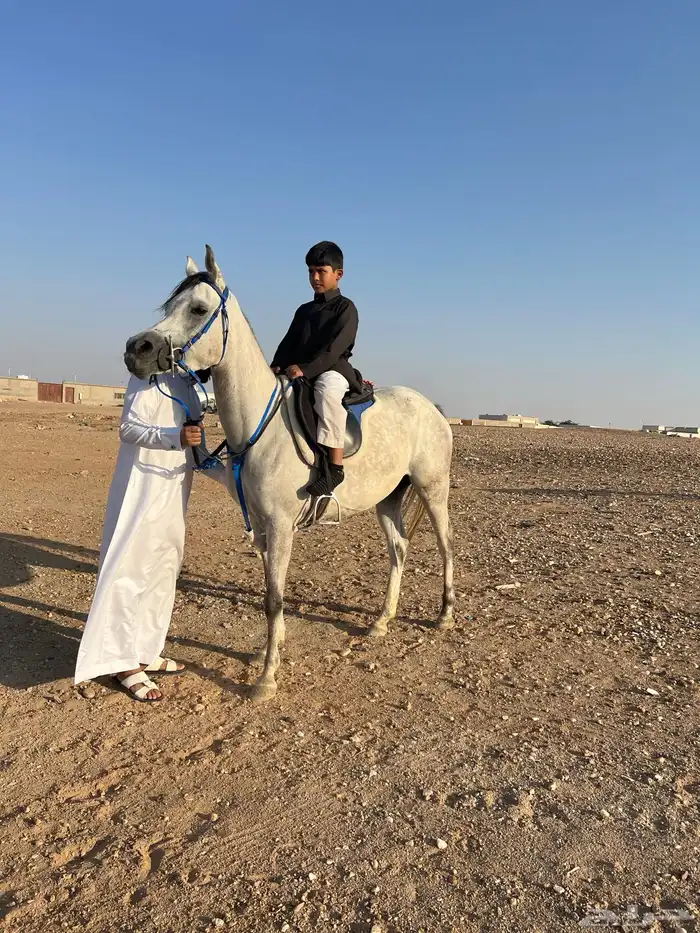 فراس واهو 2020 موليدها 1