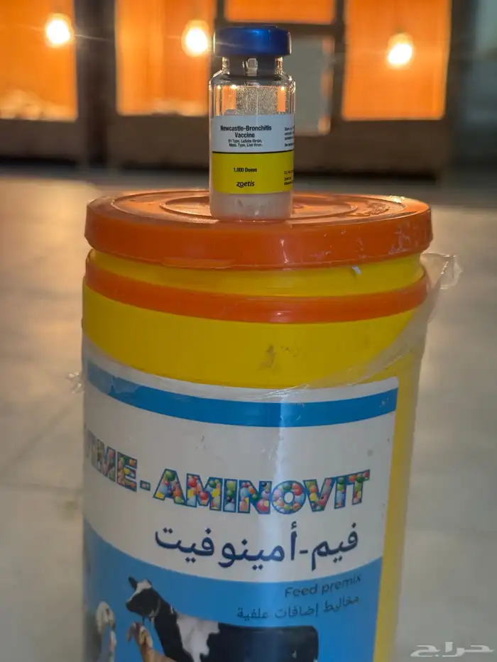 صوص براهما 2