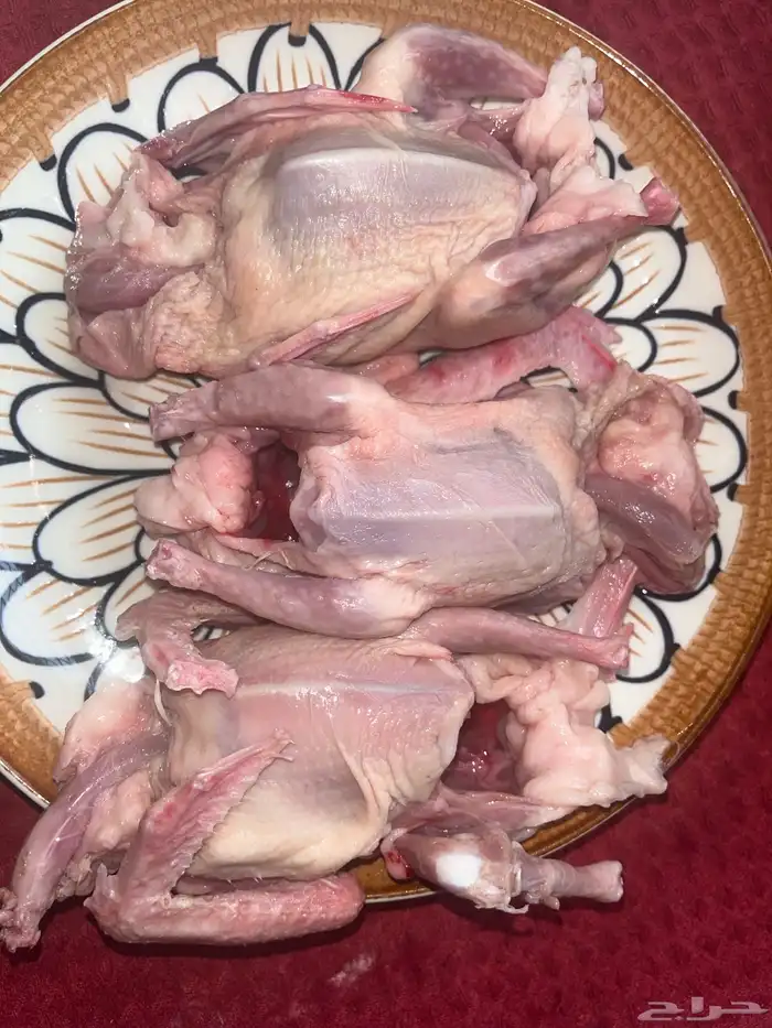 زغاليل فرنسي 1