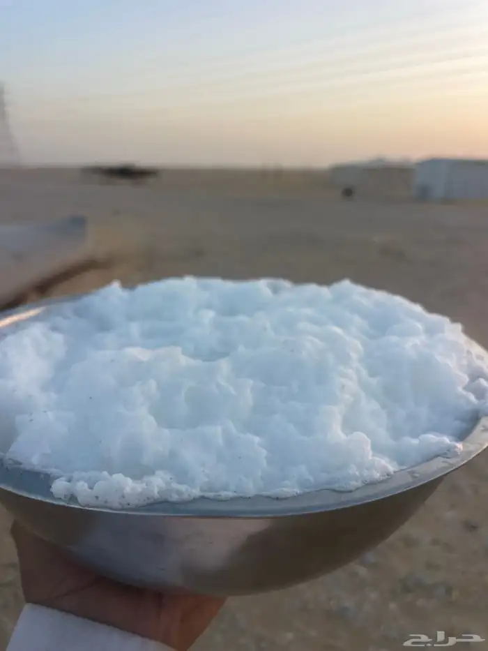 خلفه ذلول لبنه سكر وهديه تحلب بربط بسيط وانا احلبه بدون 6