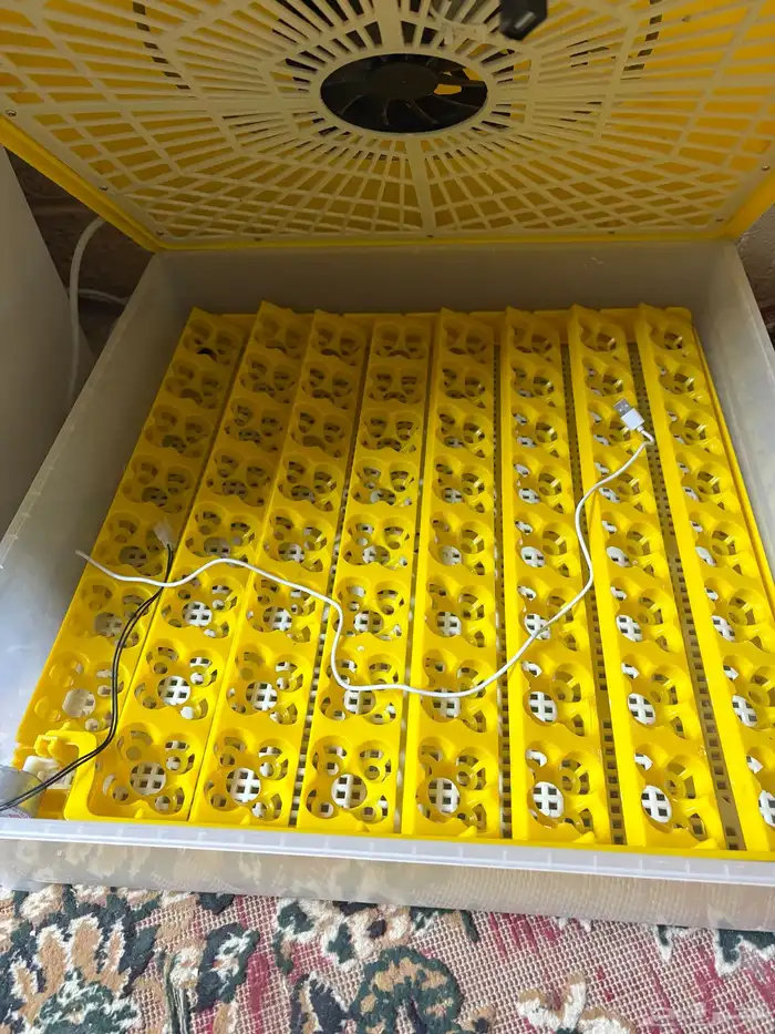 للبيع فقاسه 2