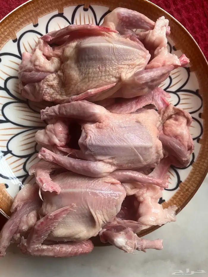 زغاليل فرنسي 3